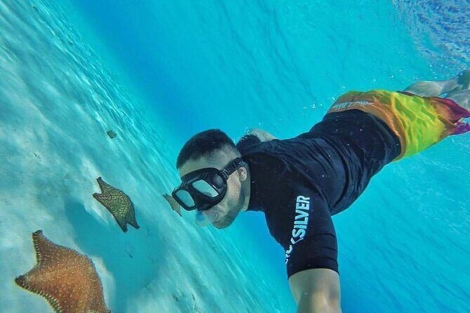 Cozumel Snorkeling Experience! El Cielo Reef from Cancun & Playa del Carmen - An In-Depth Look at the Cozumel Snorkeling Tour