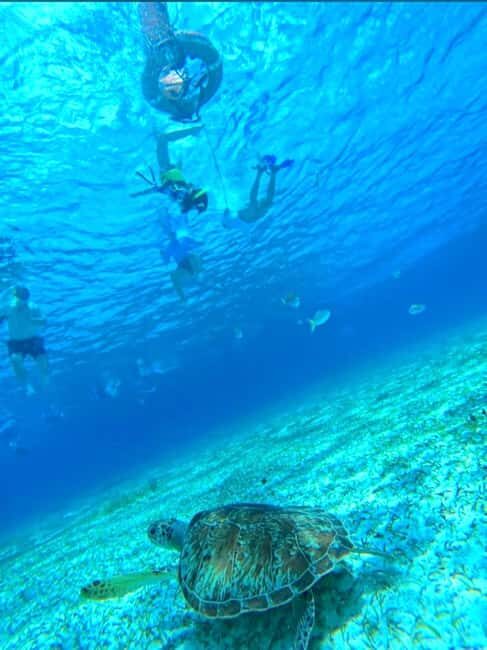Cozumel: snorkeling on reefs + visit to "El Cielo" - Is This Tour Worth It?  