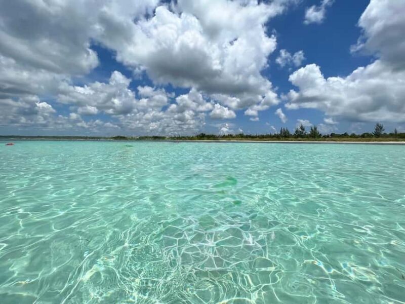 Cozumel: snorkeling on reefs + visit to "El Cielo" - Who Should Choose This Tour?  