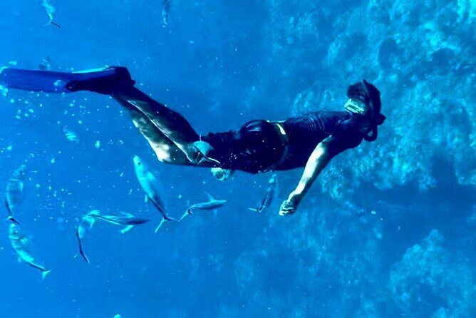 Cozumel Snorkeling Reef Experience with Ceviche and Beers - Who Should Book This Tour?