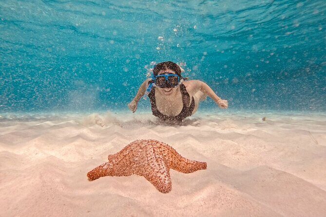 Cozumel Snorkeling to Palancar & El Cielo with drinks & Snack - Exploring the Itinerary in Detail