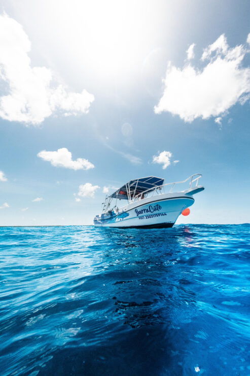 Cozumel: Snorkeling Tour 3 Sites Private Tour - Good To Know