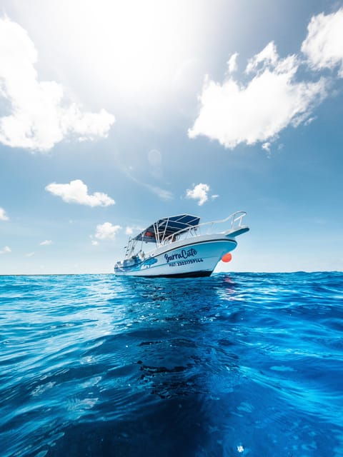 Cozumel: Snorkeling Tour 3 Sites Private Tour - Itinerary and Experience