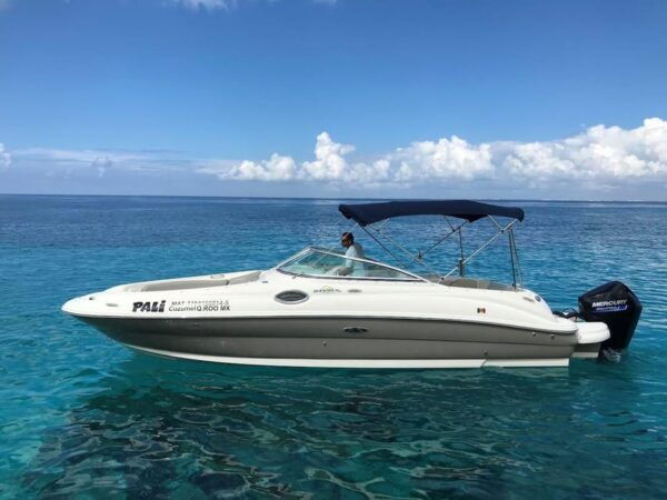 Cozumel: Snorkeling Tour at El Cielo Beach - Frequently Asked Questions