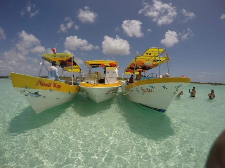 Cozumel: Snorkeling Tour With Cielo Estrellas Reef Visit - Reefs Visited