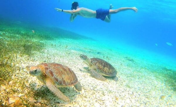 Cozumel: Snorkeling Tour With Cielo Estrellas Reef Visit - Frequently Asked Questions