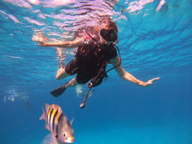 Cozumel: Snorkeling Trip to 3 Reefs by Boat - Snorkeling Highlights