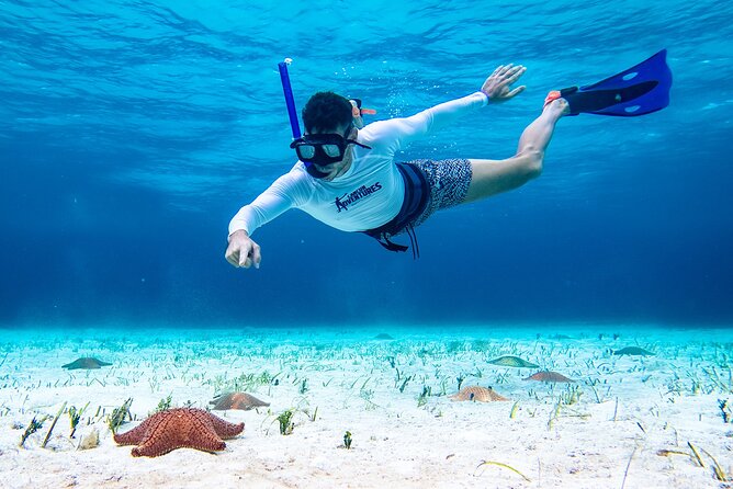 Cozumel Starfish and Tropical Reef Snorkeling by Powerboat With Lunch - Cancellation Policy and Reviews