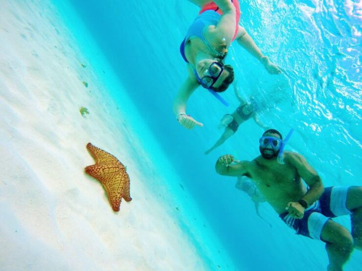 Cozumel: Starfish, Stingrays, and Turtle Bay Snorkeling Tour - Inclusions