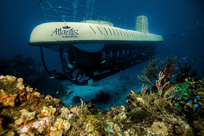 Cozumel Submarine Experience - The Sum Up