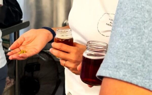 Cozumel: Tacos, Beer & Mezcal - Suitability Considerations