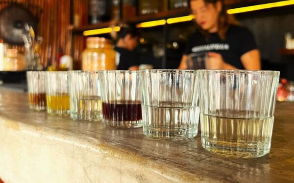 Cozumel: Tacos, Beer & Mezcal - Cancellation and Payment Policy