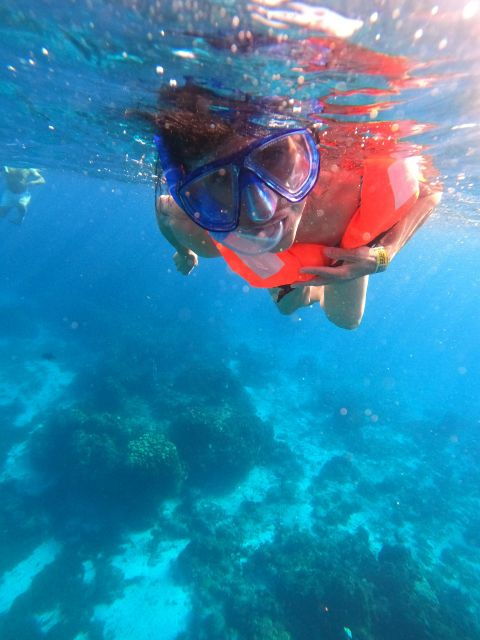 Cozumel: the Heavenly Sanctuary of Starfish - Experience Highlights