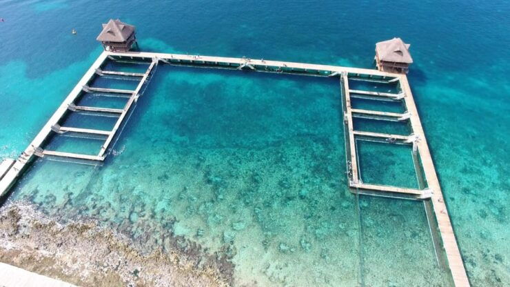 Cozumel: Tour of Chankanaab Natural Park - Snorkeling in the Coral Reef