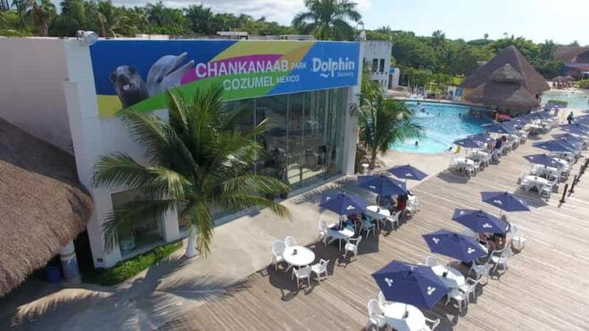 Cozumel: Tour of Chankanaab Natural Park - Sea Lion and Dolphin Show