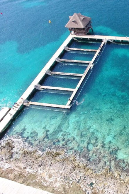 Cozumel: Tour of Chankanaab Natural Park - Dining and Refreshments Within Park