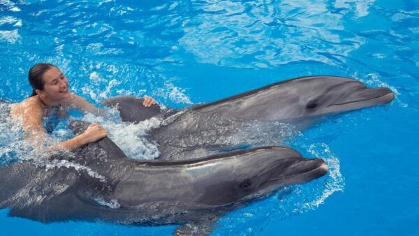 Cozumel: Tour of Chankanaab Natural Park - Important Tour Information
