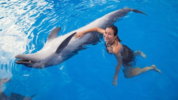 Cozumel: Tour of Chankanaab Natural Park - Frequently Asked Questions