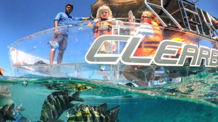 Cozumel: Transparent Boat Tour - Itinerary and Highlights