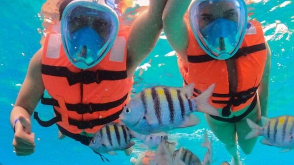 Cozumel: Transparent Boat Tour - Frequently Asked Questions