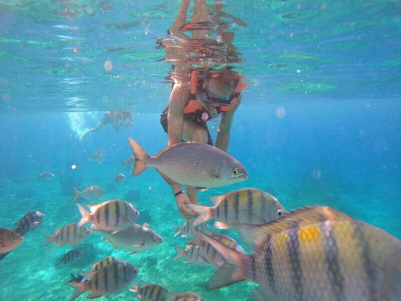 Cozumel: Transparent Boat Tour with Snorkeling and 2 Beers, Clear Boat - FAQs