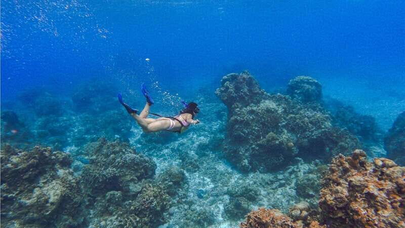 Cozumel: Transparent bottom boat tour and snorkeling activity. - Good To Know