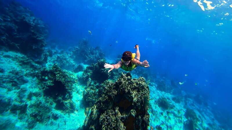 Cozumel: Transparent bottom boat tour and snorkeling activity. - What Makes This Tour Special?