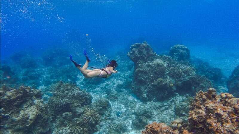 Cozumel: Transparent bottom boat tour and snorkeling activity. - Practical Details and Tips