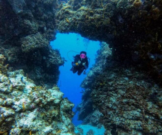 Cozumel: Two Dives in Cozumel National Marine Park - Dive Gear and Equipment
