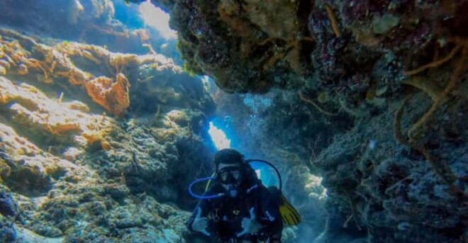 Cozumel: Two Dives in Cozumel National Marine Park - Experience Highlights