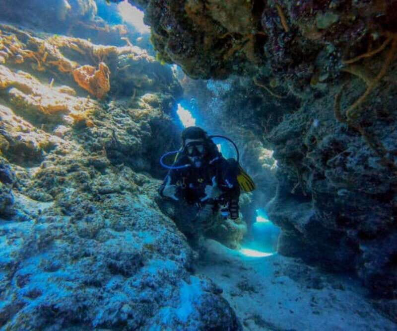 Cozumel: Two reef dives in Marine Park, certified divers - Practical Details and Logistics