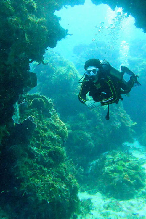 Cozumel Two Tank Boat Diving Trip - Good To Know