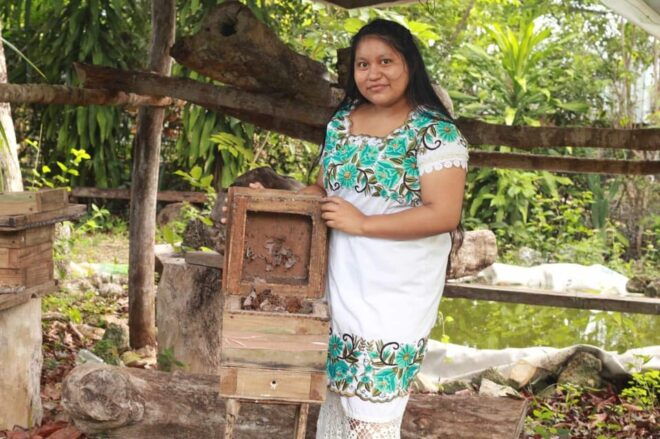 Cozumel: Ultimate Combo: Mayan Ruins, Bee Farm & Snorkeling - Important Considerations