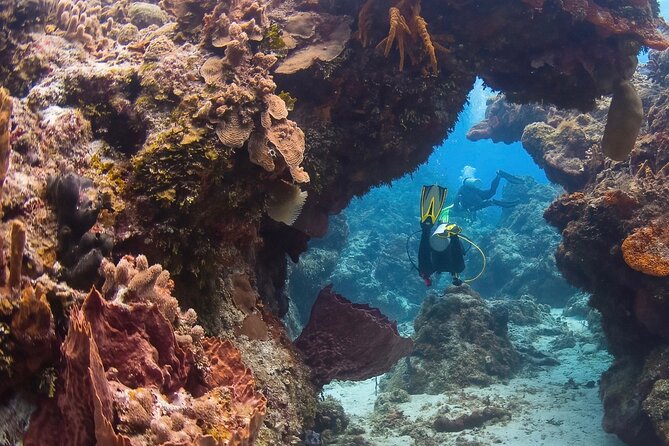 Cozumel Underwater 2 Tank Dive by Boat - Dive Overview