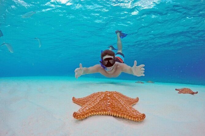 Cozumel Underwater Wonders: El Cielo Sandbar & Reef Snorkeling - Good To Know