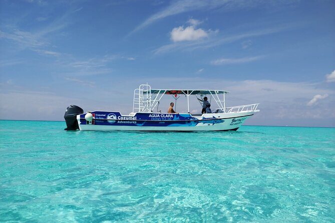 Cozumel Underwater Wonders: El Cielo Sandbar & Reef Snorkeling - An In-Depth Look at the Cozumel Underwater Wonders Tour