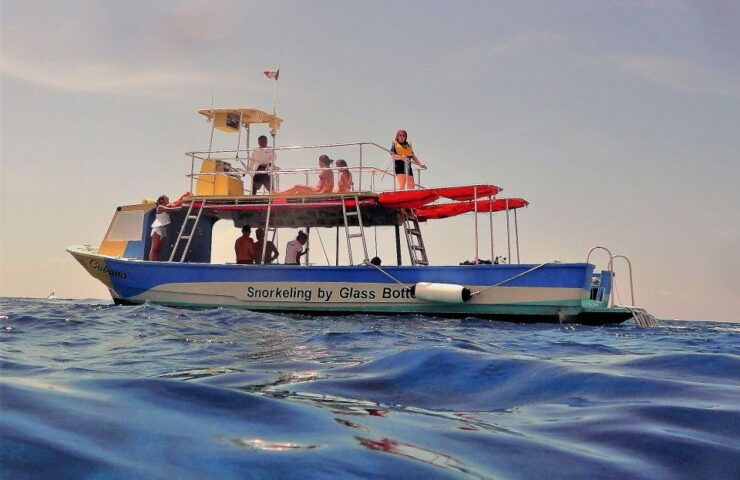 Cozumel: VIP Glass Bottom Boat & Snorkeling 3 Reefs Tour - Important Information