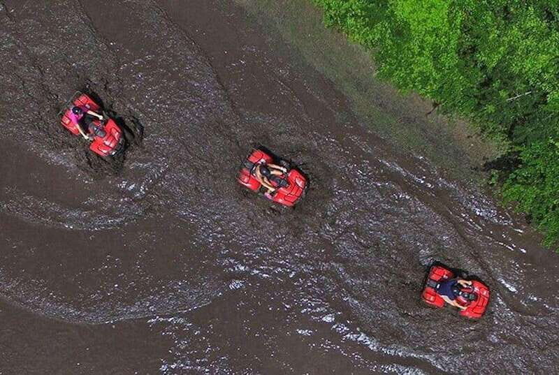 Cozumel: Yoga and ATV Adventure in the Jungle - Discovering the Day: What to Expect