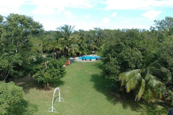 Cozumel: Zip Line Adventure at Mayan Extreme Park - Customer Ratings Highlight