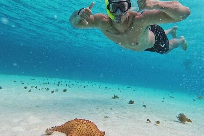 Cozumel's Reefs in El Cielo, Palancar and Columbia Guided Tour - What Reviewers Say