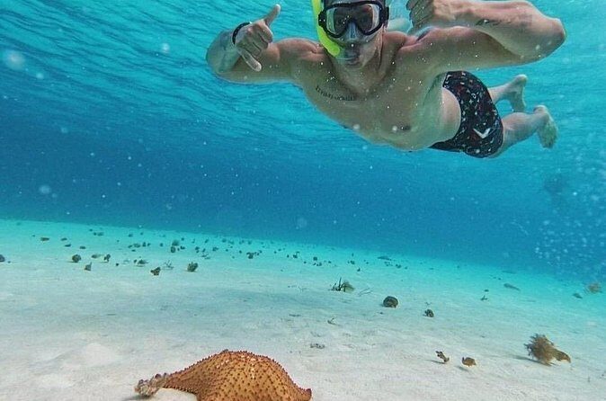 Cozumel's Reefs in El Cielo, Palancar and Columbia Guided Tour - FAQ