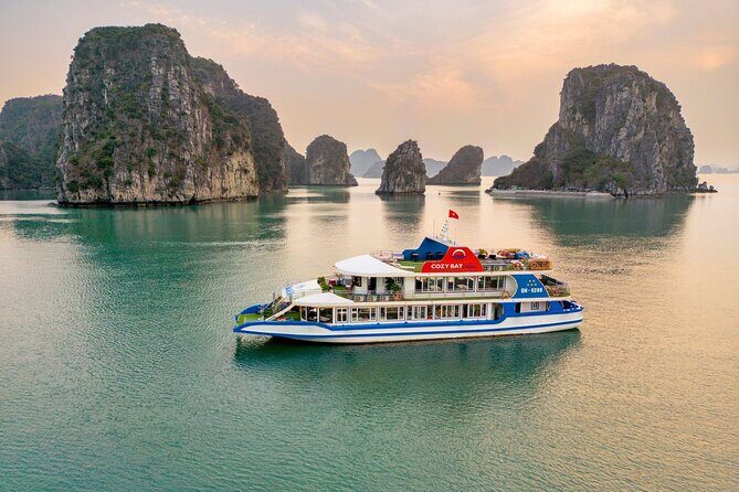 Cozy Bay 5 Star Cruise Luxury Halong Day Trip with Buffet Lunch - What We Appreciated and Potential Considerations