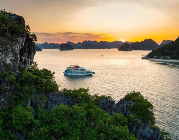 Cozy Bay 5-Star Halong Day Trip, Buffet Lunch, Cave & Island - Additional Services