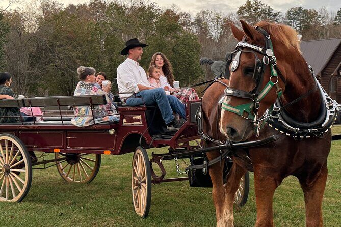 Cozy Farm Experience with Wagon Wheels and Acoustic Meal - Authentic Experiences and Noteworthy Aspects