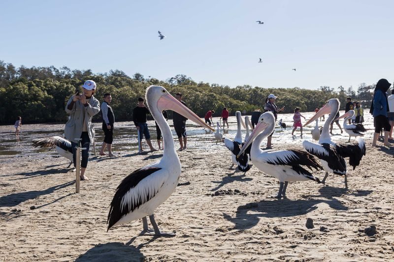 Crab Catching Adventure Cruise from Tweed Heads - Get to Pioneer Park early