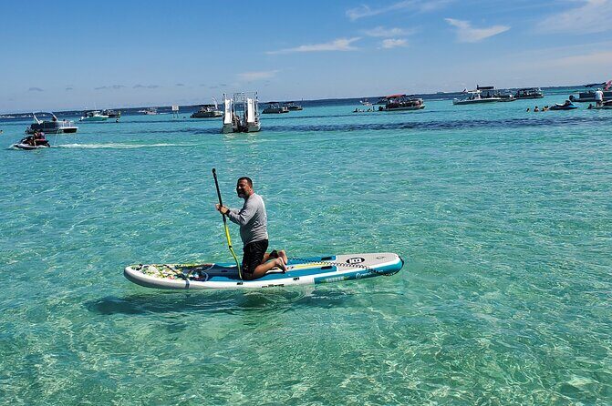 Crab Island Fun W/ Lily Pad & More - Price and Value Analysis