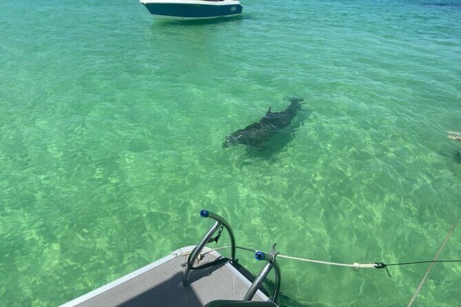 Crab Island Party!! Lily Pad, Paddleboard, Speaker & Cooler - What to Expect on Your Crab Island Adventure