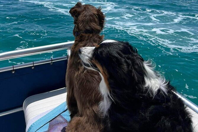 Crab Island Private Captained Charter in Destin - The Value of Private, Customized Water Tours