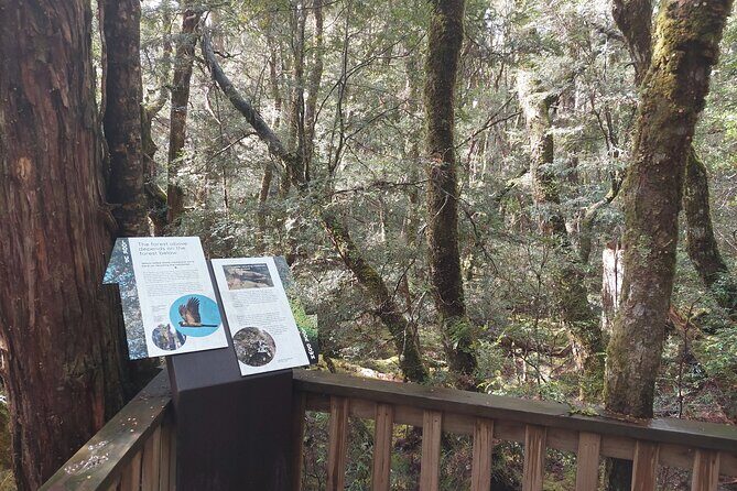 Cradle Mountain: Burnie Shore Excursion - The Sum Up