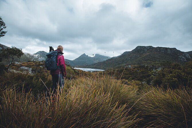 Cradle Mountain Day Tour: Dove Lake Guided Hike with Lunch - Exploring the Cradle Mountain Day Tour: Dove Lake Guided Hike with Lunch